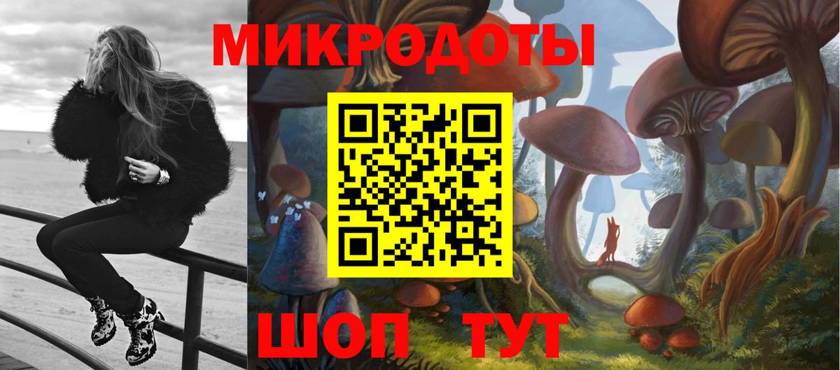 Псилоцибиновые грибы мицелий  Вход с VPN  Кохма 